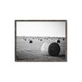 Picture of Hay Bails _GroupedProduct_Rectangle_Landscape_Photography _GroupedProduct_Rectangle_Landscape_Canvas_Framed_
