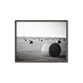 Picture of Hay Bails _GroupedProduct_Rectangle_Landscape_Photography _GroupedProduct_Rectangle_Landscape_Canvas_Framed_