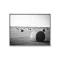 Picture of Hay Bails _GroupedProduct_Rectangle_Landscape_Photography _GroupedProduct_Rectangle_Landscape_Canvas_Framed_