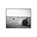 Picture of Hay Bails _GroupedProduct_Rectangle_Landscape_Photography _GroupedProduct_Rectangle_Landscape_Canvas_Framed_