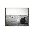 Picture of Hay Bails _GroupedProduct_Rectangle_Landscape_Photography _GroupedProduct_Rectangle_Landscape_Canvas_Framed_