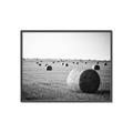 Picture of Hay Bails _GroupedProduct_Rectangle_Landscape_Photography _GroupedProduct_Rectangle_Landscape_Canvas_Framed_