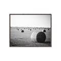 Picture of Hay Bails _GroupedProduct_Rectangle_Landscape_Photography _GroupedProduct_Rectangle_Landscape_Canvas_Framed_