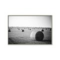 Picture of Hay Bails _GroupedProduct_Rectangle_Landscape_Photography _GroupedProduct_Rectangle_Landscape_Canvas_Framed_