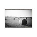 Picture of Hay Bails _GroupedProduct_Rectangle_Landscape_Photography _GroupedProduct_Rectangle_Landscape_Canvas_Framed_