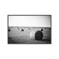 Picture of Hay Bails _GroupedProduct_Rectangle_Landscape_Photography _GroupedProduct_Rectangle_Landscape_Canvas_Framed_