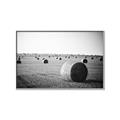 Picture of Hay Bails _GroupedProduct_Rectangle_Landscape_Photography _GroupedProduct_Rectangle_Landscape_Canvas_Framed_