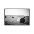 Picture of Hay Bails _GroupedProduct_Rectangle_Landscape_Photography _GroupedProduct_Rectangle_Landscape_Canvas_Framed_