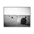Picture of Hay Bails _GroupedProduct_Rectangle_Landscape_Photography _GroupedProduct_Rectangle_Landscape_Canvas_Framed_