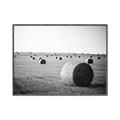 Picture of Hay Bails _GroupedProduct_Rectangle_Landscape_Photography _GroupedProduct_Rectangle_Landscape_Canvas_Framed_