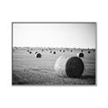 Picture of Hay Bails _GroupedProduct_Rectangle_Landscape_Photography _GroupedProduct_Rectangle_Landscape_Canvas_Framed_
