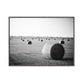 Picture of Hay Bails _GroupedProduct_Rectangle_Landscape_Photography _GroupedProduct_Rectangle_Landscape_Canvas_Framed_