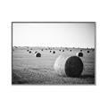 Picture of Hay Bails _GroupedProduct_Rectangle_Landscape_Photography _GroupedProduct_Rectangle_Landscape_Canvas_Framed_