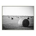 Picture of Hay Bails _GroupedProduct_Rectangle_Landscape_Photography _GroupedProduct_Rectangle_Landscape_Canvas_Framed_