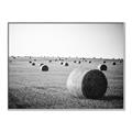 Picture of Hay Bails _GroupedProduct_Rectangle_Landscape_Photography _GroupedProduct_Rectangle_Landscape_Canvas_Framed_