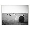 Picture of Hay Bails _GroupedProduct_Rectangle_Landscape_Photography _GroupedProduct_Rectangle_Landscape_Canvas_Framed_
