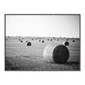 Picture of Hay Bails _GroupedProduct_Rectangle_Landscape_Photography _GroupedProduct_Rectangle_Landscape_Canvas_Framed_