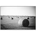 Picture of Hay Bails _GroupedProduct_Rectangle_Landscape_Photography _GroupedProduct_Rectangle_Landscape_Canvas_Framed_