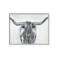 Picture of Painted Longhorn Bull _GroupedProduct_Rectangle_Landscape_Canvas_Framed_