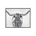Picture of Painted Longhorn Bull _GroupedProduct_Rectangle_Landscape_Canvas_Framed_