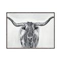 Picture of Painted Longhorn Bull _GroupedProduct_Rectangle_Landscape_Canvas_Framed_