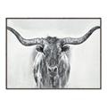 Picture of Painted Longhorn Bull _GroupedProduct_Rectangle_Landscape_Canvas_Framed_