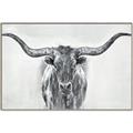 Picture of Painted Longhorn Bull _GroupedProduct_Rectangle_Landscape_Canvas_Framed_