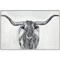 Picture of Painted Longhorn Bull _GroupedProduct_Rectangle_Landscape_Canvas_Framed_