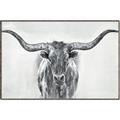 Picture of Painted Longhorn Bull _GroupedProduct_Rectangle_Landscape_Canvas_Framed_