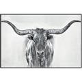 Picture of Painted Longhorn Bull _GroupedProduct_Rectangle_Landscape_Canvas_Framed_