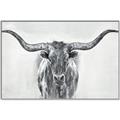 Picture of Painted Longhorn Bull _GroupedProduct_Rectangle_Landscape_Canvas_Framed_