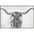 Picture of Painted Longhorn Bull _GroupedProduct_Rectangle_Landscape_Canvas_Framed_