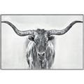 Picture of Painted Longhorn Bull _GroupedProduct_Rectangle_Landscape_Canvas_Framed_