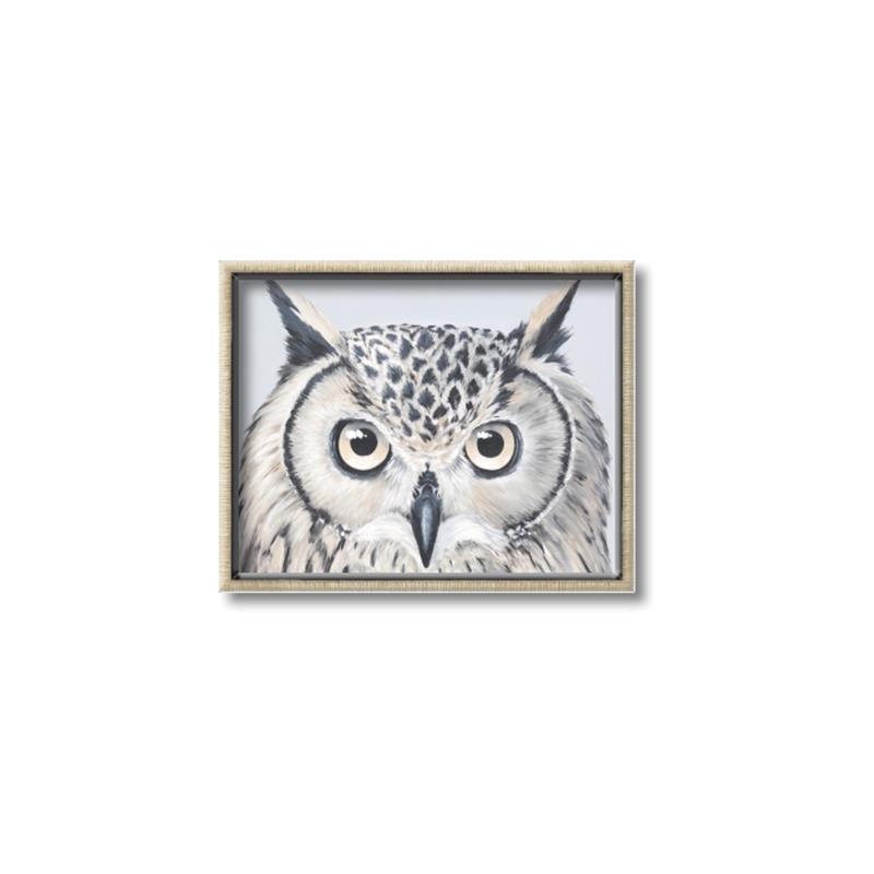 Picture of Close-up The Owl Head _GroupedProduct_Rectangle_Landscape_Canvas_Framed_