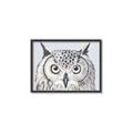 Picture of Close-up The Owl Head _GroupedProduct_Rectangle_Landscape_Canvas_Framed_