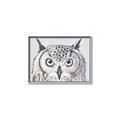 Picture of Close-up The Owl Head _GroupedProduct_Rectangle_Landscape_Canvas_Framed_