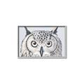 Picture of Close-up The Owl Head _GroupedProduct_Rectangle_Landscape_Canvas_Framed_
