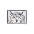 Picture of Close-up The Owl Head _GroupedProduct_Rectangle_Landscape_Canvas_Framed_