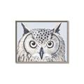 Picture of Close-up The Owl Head _GroupedProduct_Rectangle_Landscape_Canvas_Framed_