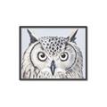 Picture of Close-up The Owl Head _GroupedProduct_Rectangle_Landscape_Canvas_Framed_