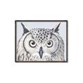 Picture of Close-up The Owl Head _GroupedProduct_Rectangle_Landscape_Canvas_Framed_