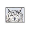 Picture of Close-up The Owl Head _GroupedProduct_Rectangle_Landscape_Canvas_Framed_