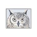 Picture of Close-up The Owl Head _GroupedProduct_Rectangle_Landscape_Canvas_Framed_
