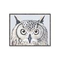Picture of Close-up The Owl Head _GroupedProduct_Rectangle_Landscape_Canvas_Framed_