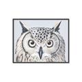Picture of Close-up The Owl Head _GroupedProduct_Rectangle_Landscape_Canvas_Framed_