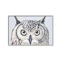 Picture of Close-up The Owl Head _GroupedProduct_Rectangle_Landscape_Canvas_Framed_