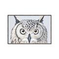 Picture of Close-up The Owl Head _GroupedProduct_Rectangle_Landscape_Canvas_Framed_