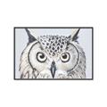 Picture of Close-up The Owl Head _GroupedProduct_Rectangle_Landscape_Canvas_Framed_
