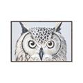 Picture of Close-up The Owl Head _GroupedProduct_Rectangle_Landscape_Canvas_Framed_