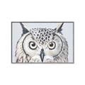 Picture of Close-up The Owl Head _GroupedProduct_Rectangle_Landscape_Canvas_Framed_